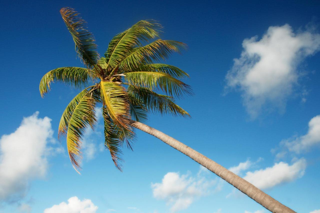 Araam Stay Hulhumale Exterior photo